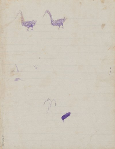Kwat Kwat insanları - (Kuşlar) Esas olarak Aborijinlerin ve Beyazların faaliyetlerini anlatan Sketchbook by Tommy McRae